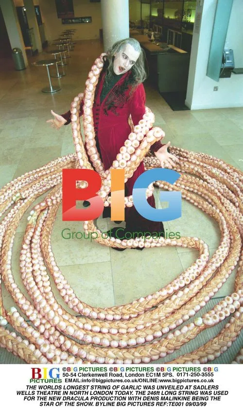 World's Longest Garlic String Unveiled