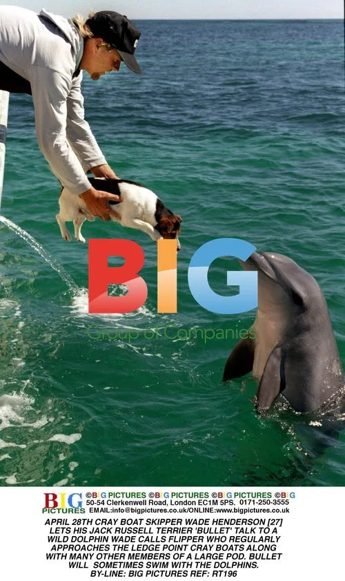 Cray Boat Skipper Wade Henderson and Dog Bullet Interact with Dolphin