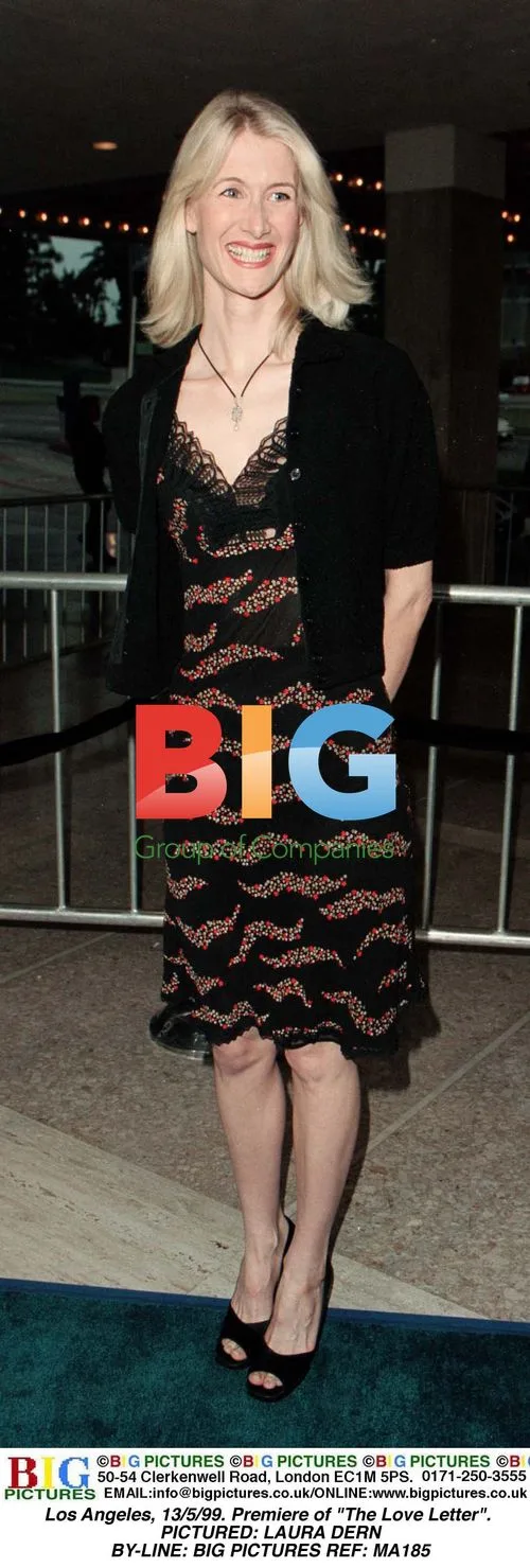 LAURA DERN at "The Love Letter" Premiere