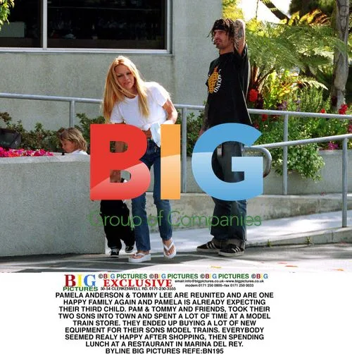 Pamela Anderson & Tommy Lee's Outing
