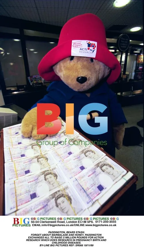 Paddington Bear Raises £1 Million for Charity