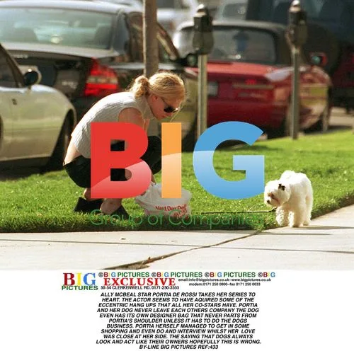 PORTIA DE ROSSI TAKES DOG EVERYWHERE