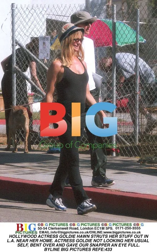 Goldie Hawn Seen Strutting in LA