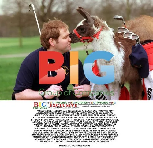 Steve Sampson, 32, Uses Llama as Golf Caddy