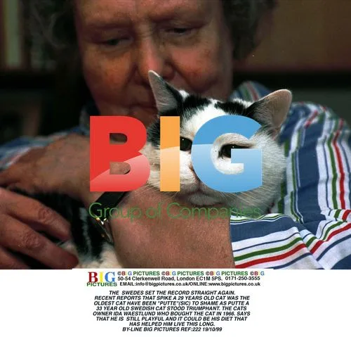 World's Oldest Cat 'Putte' Breaks Record