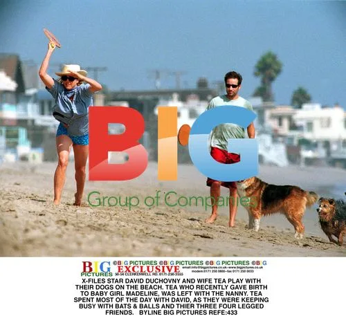David Duchovny and Tea Leoni Play With Dogs on Beach