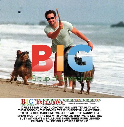 David Duchovny and Tea Leoni Play with Dogs on Beach