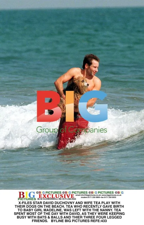 David Duchovny and Wife Tea Play with Dogs on Beach