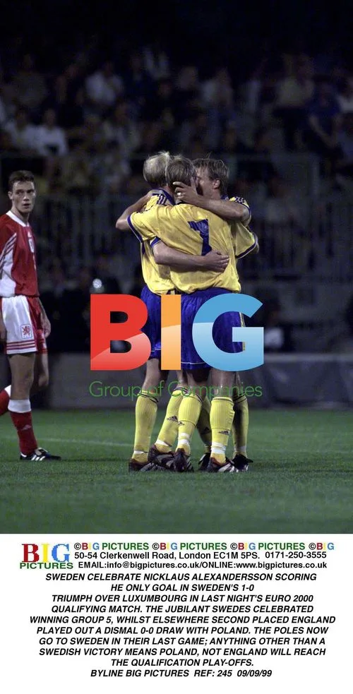 Sweden Celebrate Alexandersson Goal vs Luxembourg