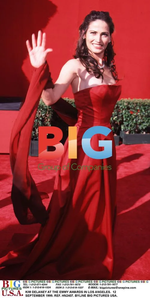 Kim Delaney at Emmy Awards in LA