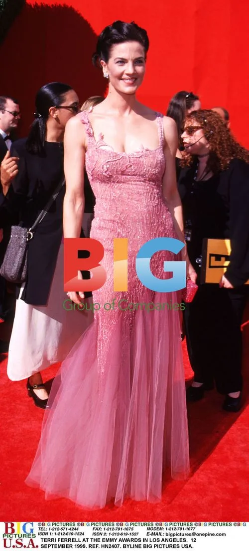 Teri Ferrell at the Emmy Awards