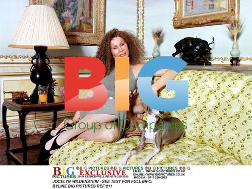 Jocelyn Wildenstein at Home