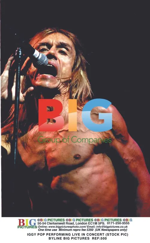 Iggy Pop Performing Live