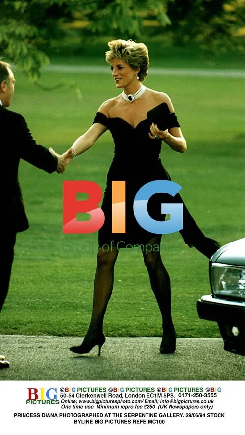 PRINCESS DIANA AT SERPENTINE GALLERY