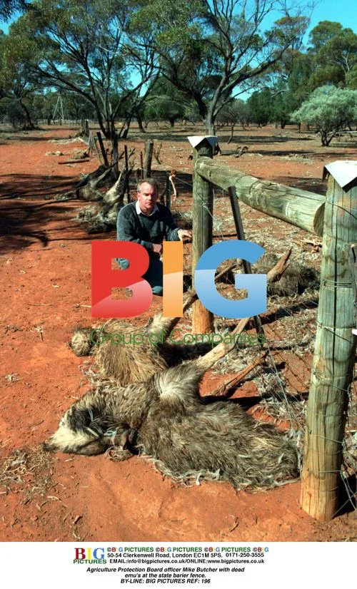 Agriculture Protection Board officer with dead emus