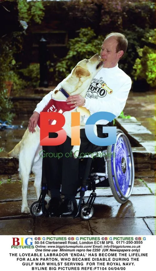Labrador 'Endal' Assists Disabled Veteran Alan Parton