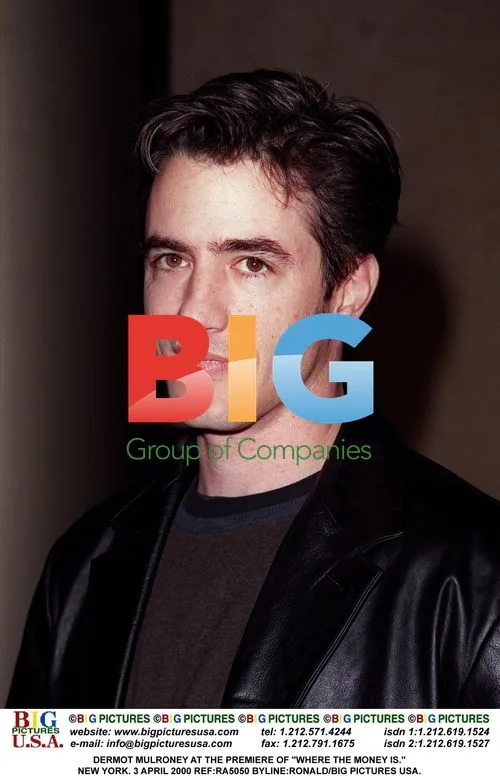 DERMOT MULRONEY AT "WHERE THE MONEY IS" PREMIERE