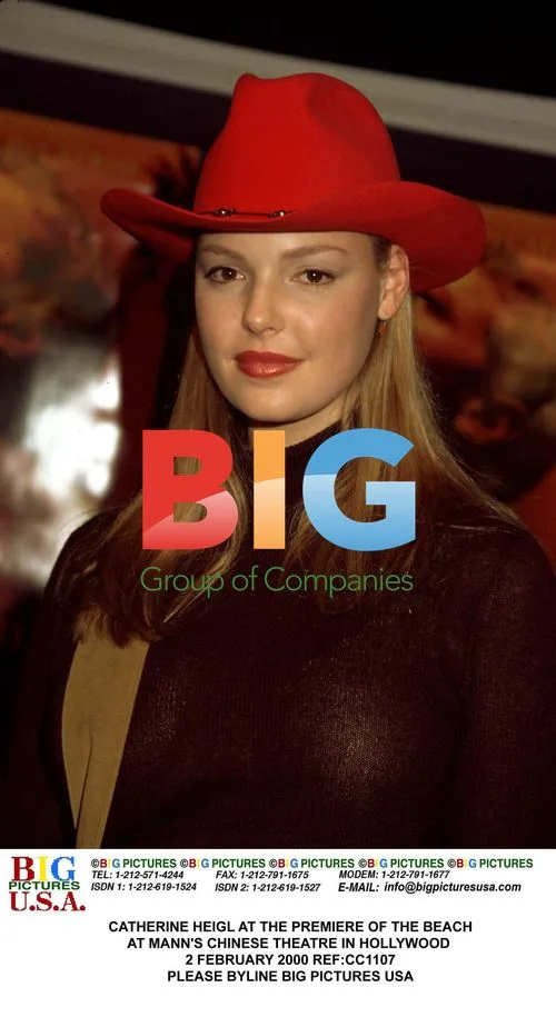 Catherine Heigl at The Beach Premiere