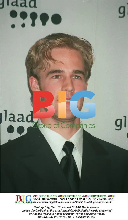 James VanDerBeek at GLAAD Media Awards