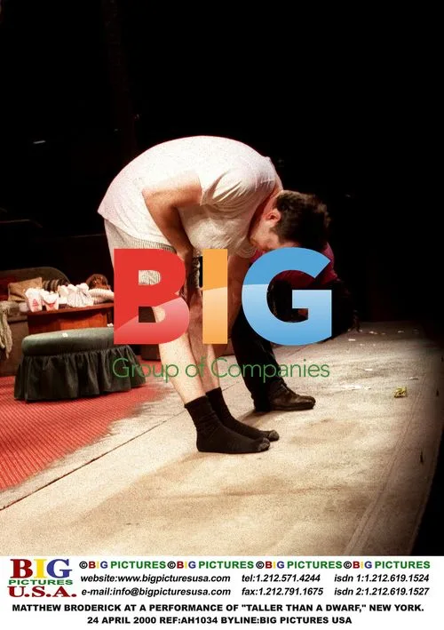 Matthew Broderick at "Taller Than a Dwarf" performance
