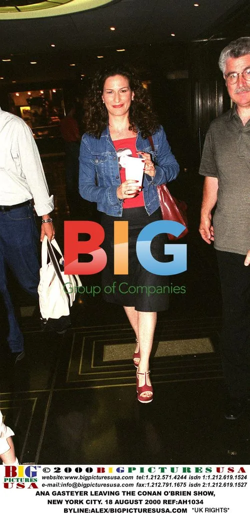 Ana Gasteyer leaving Conan O'Brien show