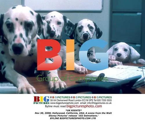 Scene from '102 Dalmatians' movie