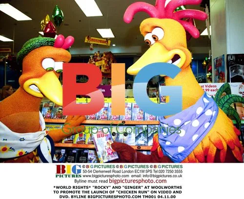 "ROCKY" and "GINGER" at Woolworths