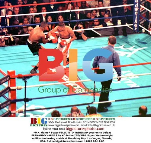 Tito Trinidad defeats Vargas by KO