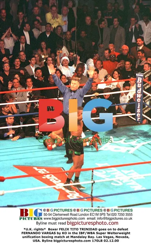 TRINIDAD Defeats VARGAS in Boxing Match