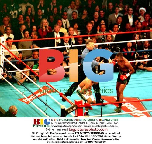 Felix Trinidad Wins by KO in 12th