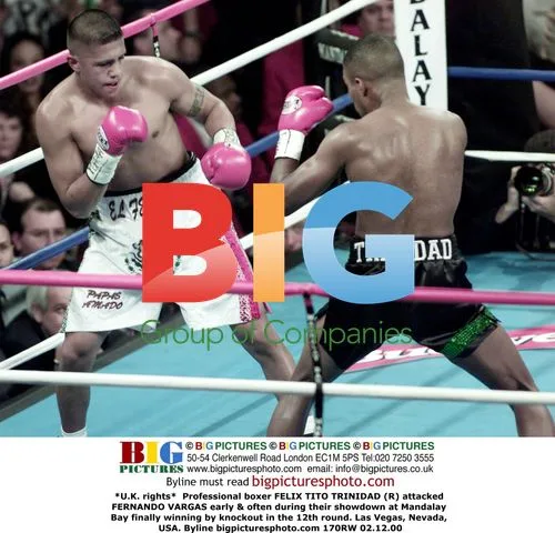 Boxer Felix Trinidad KOs Fernando Vargas