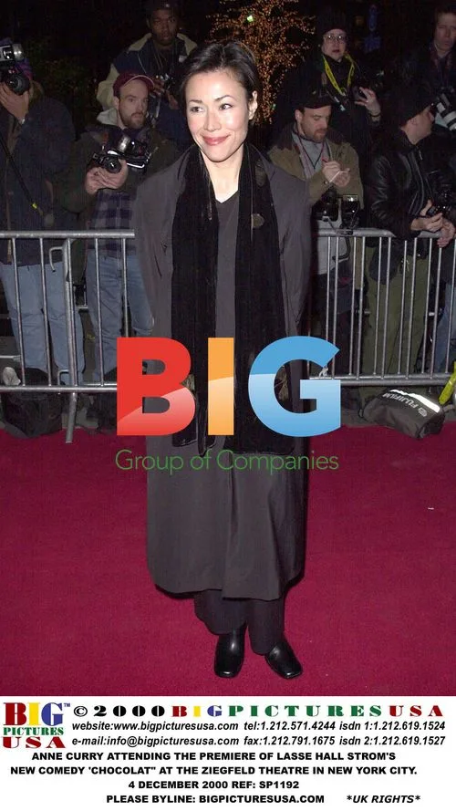 Ann Curry at Chocolat premiere