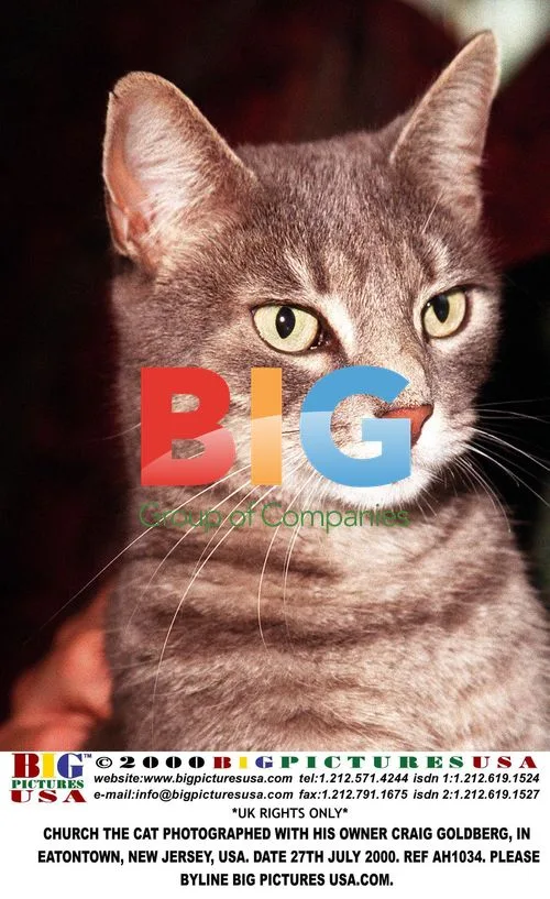 Church the Cat with Owner Craig Goldberg
