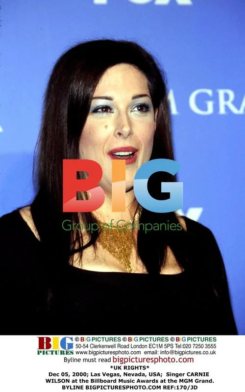 Carnie Wilson at Billboard Music Awards