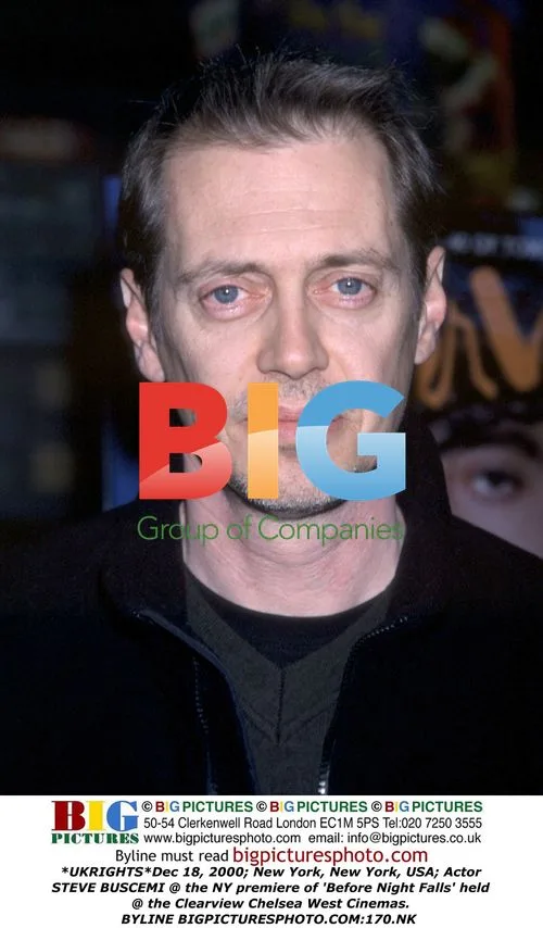 Steve Buscemi at 'Before Night Falls' NY Premiere