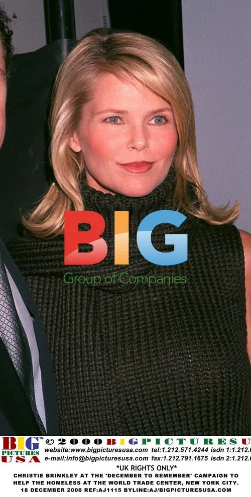 CHRISTIE BRINKLEY at 'December to Remember' Campaign