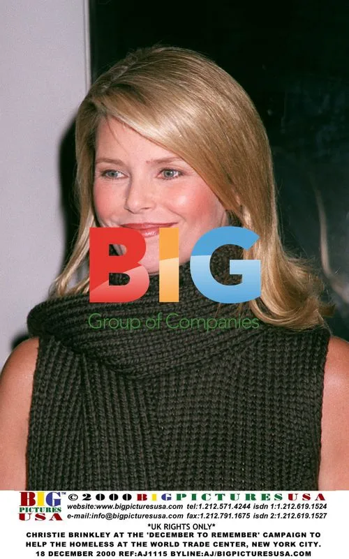 Christie Brinkley at 'December to Remember' Campaign
