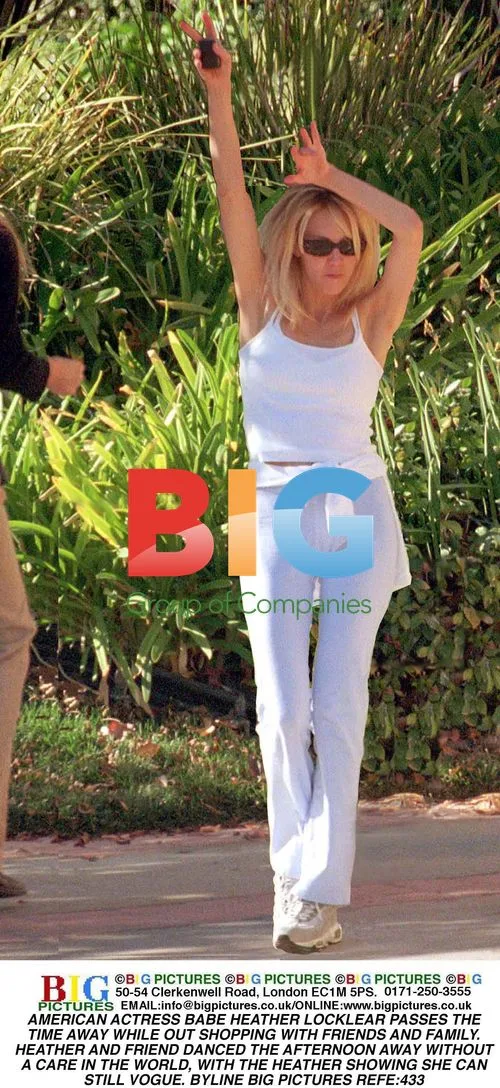 Heather Locklear Shopping with Friends