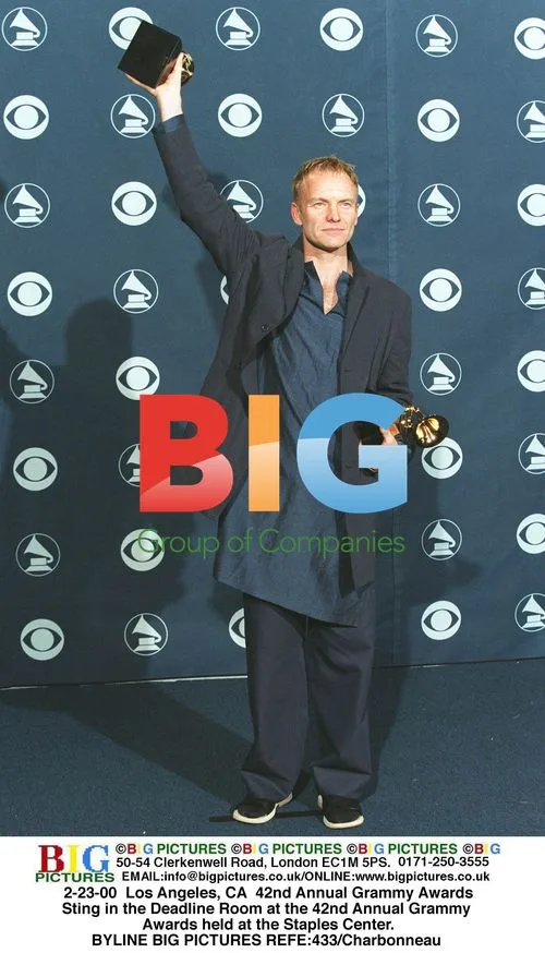 Sting at 42nd Annual Grammy Awards