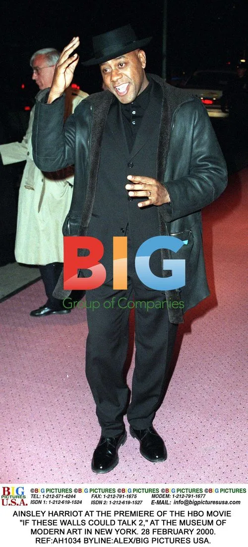 Ainsley Harriot at "If These Walls Could Talk 2" Premiere