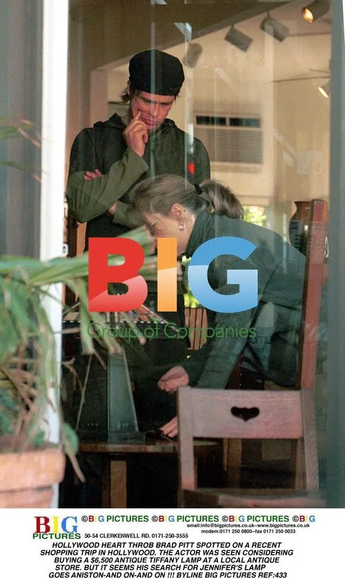 Brad Pitt Spotted Shopping for Tiffany Lamp