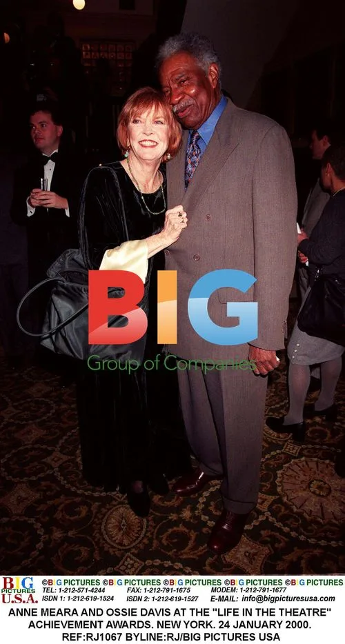 Anne Meara and Ossie Davis at the "Life in the Theatre" Awards