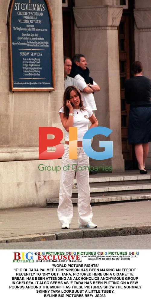 Tara Palmer-Tomkinson at AA Meeting