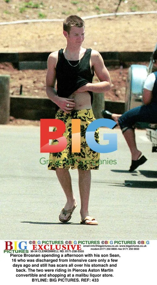 Pierce Brosnan and son Sean out in Malibu