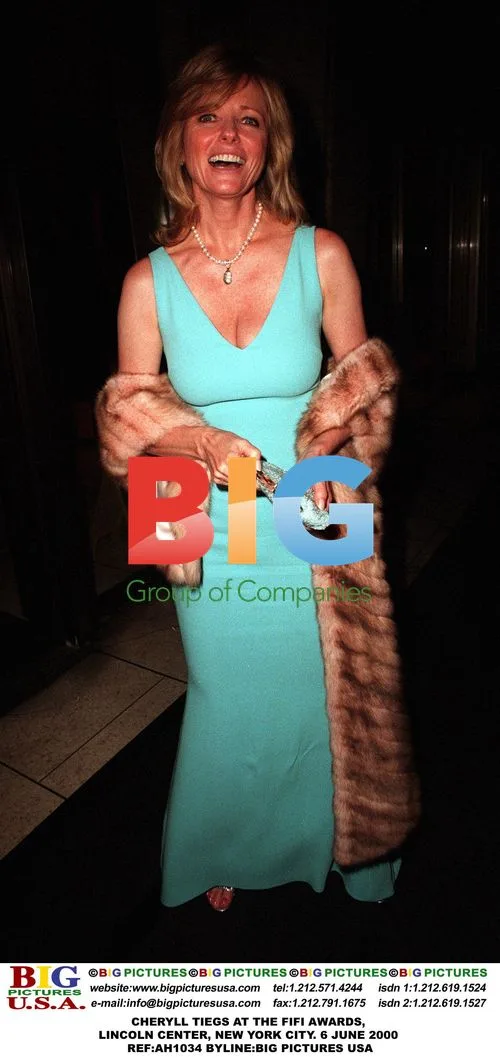 CHERYLL TIEGS at the FIFI Awards, New York