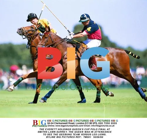 The Queen's Cup Polo Final at Smiths Lawn
