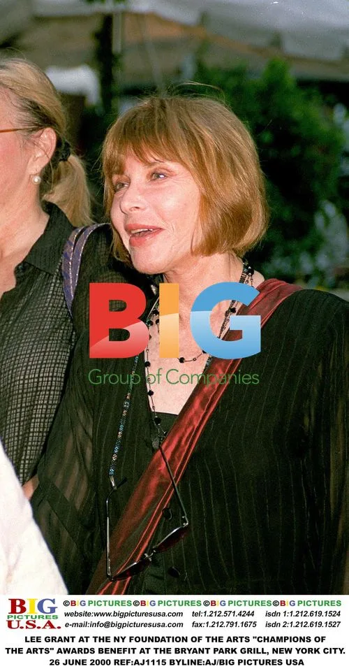 Lee Grant at the NY Foundation of the Arts Awards