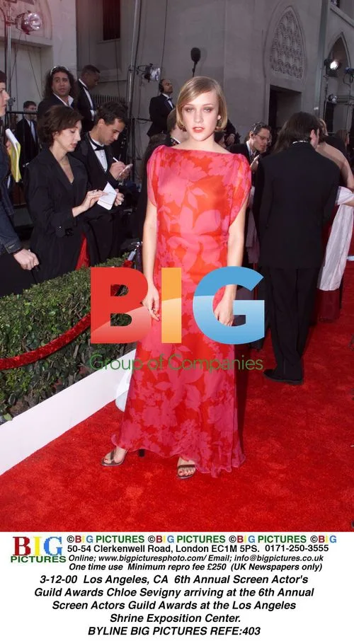 Chloe Sevigny at 6th Annual SAG Awards