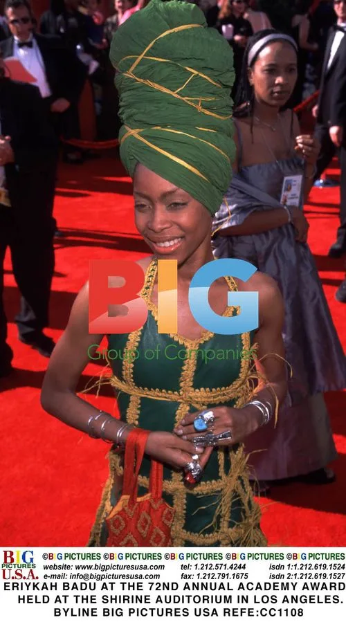 Erykah Badu at 72nd Academy Awards