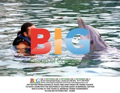 Pat Rafter Swims With Dolphins